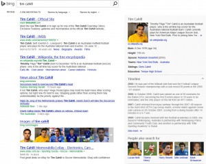 Tim Cahill Image
